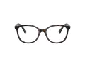 Swarovski SK 2002 1002 51 Női szemüvegkeret (optikai keret)