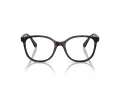 Swarovski SK 2002 1002 53 Női szemüvegkeret (optikai keret)