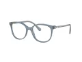 Swarovski SK 2002 1035 51 Női szemüvegkeret (optikai keret)