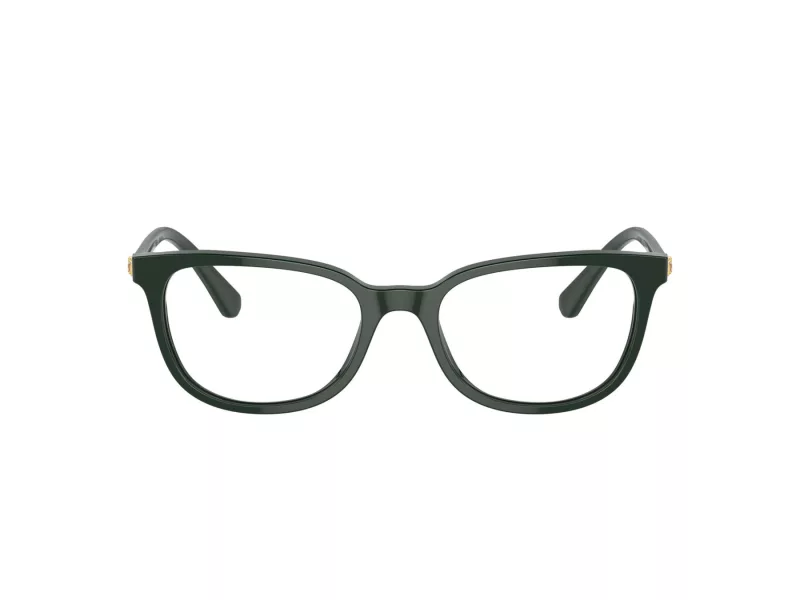 Swarovski SK 2003 1026 50 Női szemüvegkeret (optikai keret)