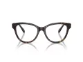 Swarovski SK 2004 1002 52 Női szemüvegkeret (optikai keret)