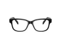 Swarovski SK 2007 1001 52 Női szemüvegkeret (optikai keret)