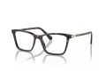 Swarovski SK 2015 1002 53 Női szemüvegkeret (optikai keret)