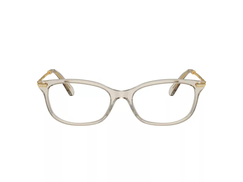 Swarovski SK 2017 3003 52 Női szemüvegkeret (optikai keret)
