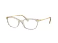 Swarovski SK 2017 3003 52 Női szemüvegkeret (optikai keret)