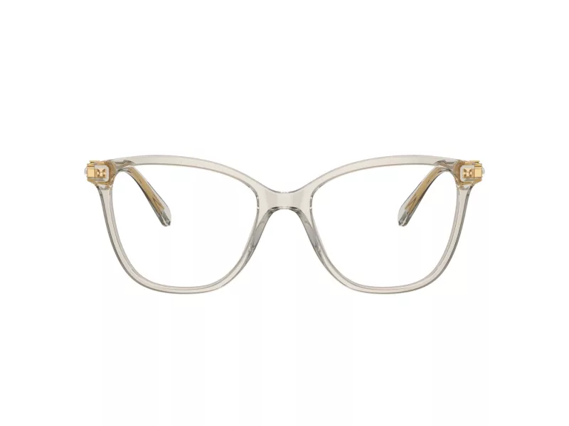 Swarovski SK 2020 3003 52 Női szemüvegkeret (optikai keret)