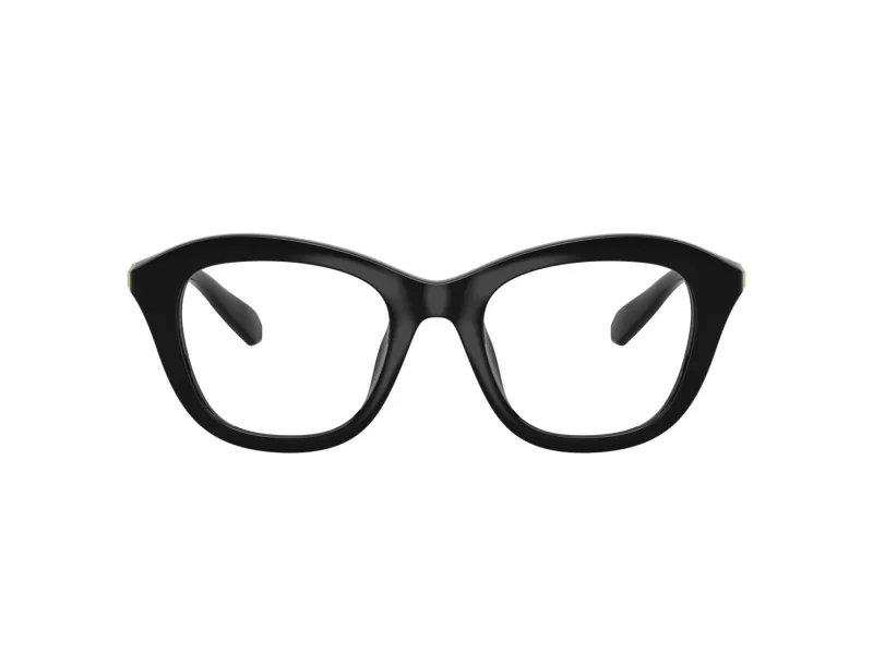 Swarovski SK 2042U 1001 48 Női szemüvegkeret (optikai keret)