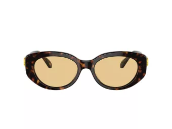 Swarovski SK 6002 1002/8 53 Női napszemüveg