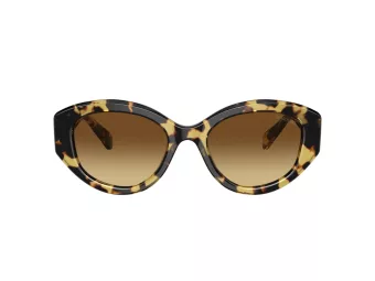 Swarovski SK 6005 100913 53 Női napszemüveg