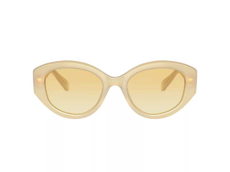 Swarovski SK 6005 10232Q 53 Női napszemüveg