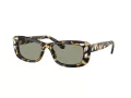 Swarovski SK 6008 1009/2 54 Női napszemüveg