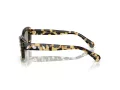 Swarovski SK 6008 1009/2 54 Női napszemüveg