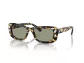 Swarovski SK 6008 1009/2 54 Női napszemüveg