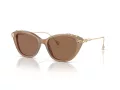 Swarovski SK 6010 2002OK 53 Női napszemüveg
