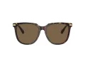 Swarovski SK 6015D 100273 55 Női napszemüveg
