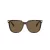 Swarovski SK 6015D 100273 55 Női napszemüveg