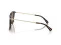 Swarovski SK 6015D 100273 55 Női napszemüveg