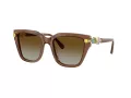 Swarovski SK 6041 1067T5 53 Női napszemüveg