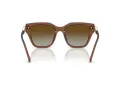Swarovski SK 6041 1067T5 53 Női napszemüveg