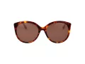 Ted Baker TB 1741 100 55 Női napszemüveg