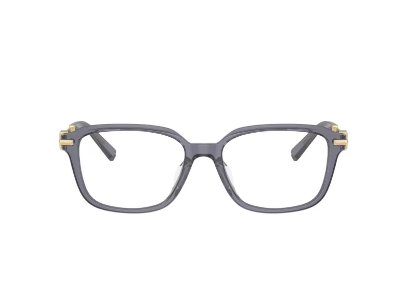 Tiffany TF 2253D 8405 54 Női szemüvegkeret (optikai keret)