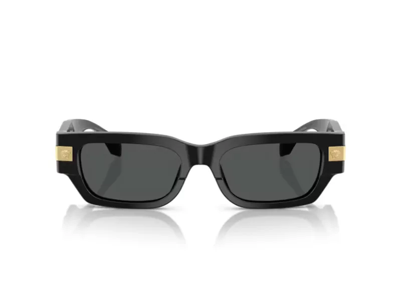 Versace VE 4465 GB1/87 53 Férfi napszemüveg